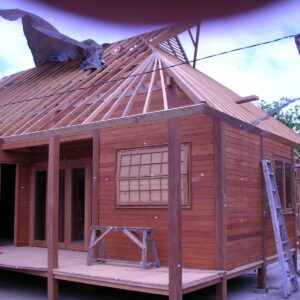 Wood House Project 1